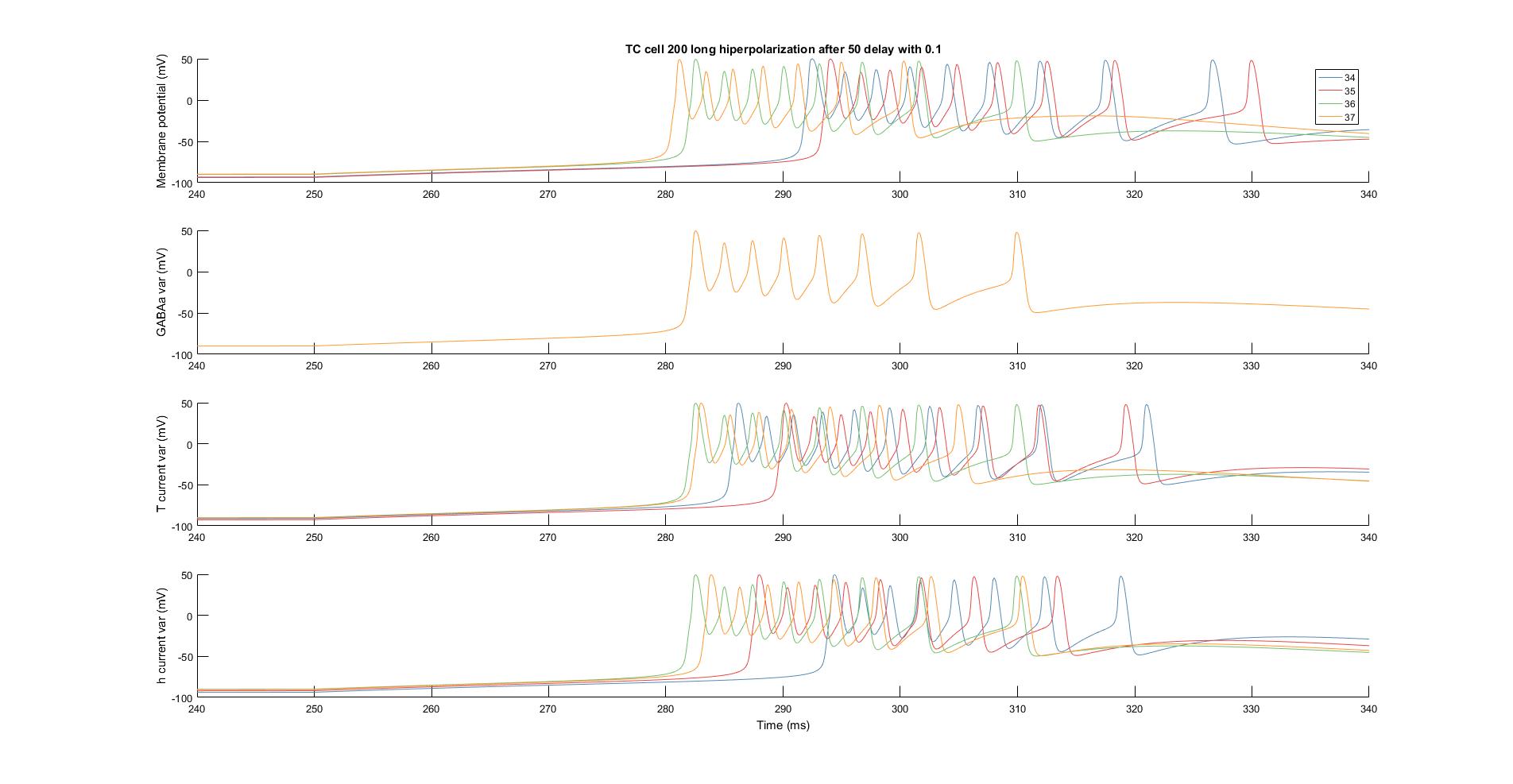 TC cell reaction to hyperpolarization based on temperature